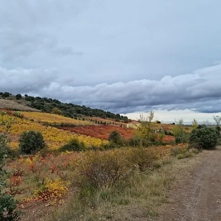 Entrelasvinas 公寓 *