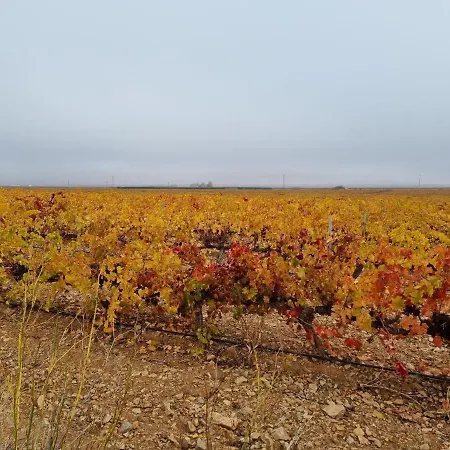 Entrelasvinas 公寓