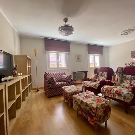 公寓 Entrelasvinas 卡利涅那