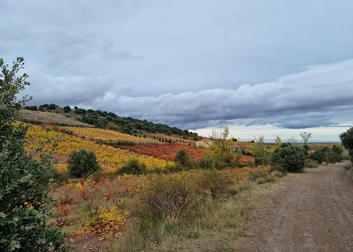 Entrelasvinas Lägenhet *