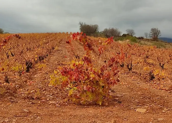 Lägenhet Entrelasvinas *