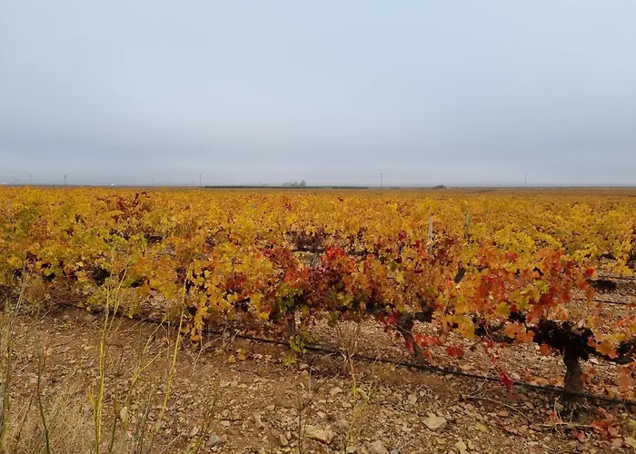 Entrelasvinas Lägenhet